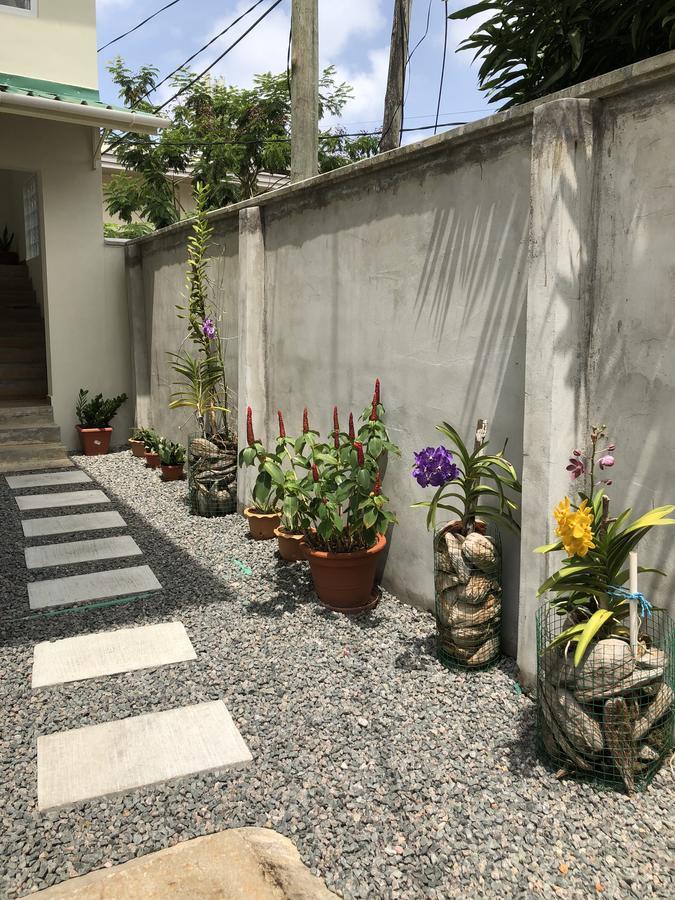 בו ואלון Flower Garden Self-Catering Apartments מראה חיצוני תמונה